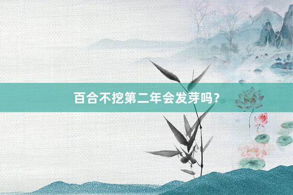 百合不挖第二年会发芽吗？