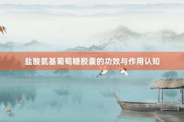 盐酸氨基葡萄糖胶囊的功效与作用认知