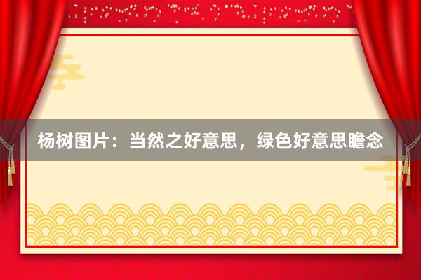 杨树图片：当然之好意思，绿色好意思瞻念