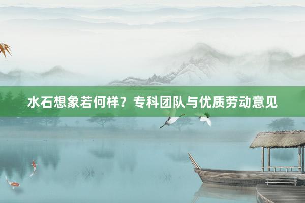 水石想象若何样？专科团队与优质劳动意见