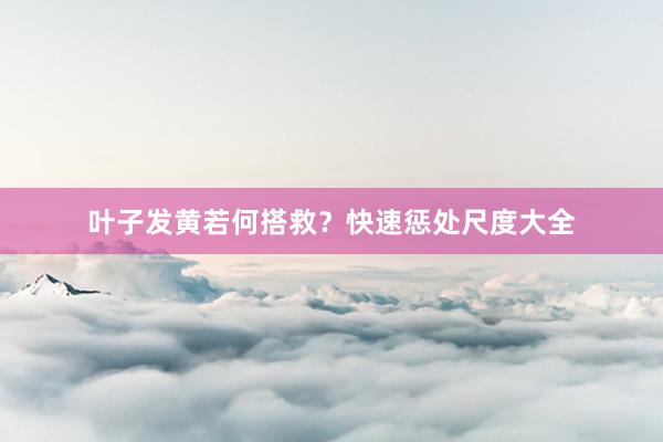 叶子发黄若何搭救？快速惩处尺度大全
