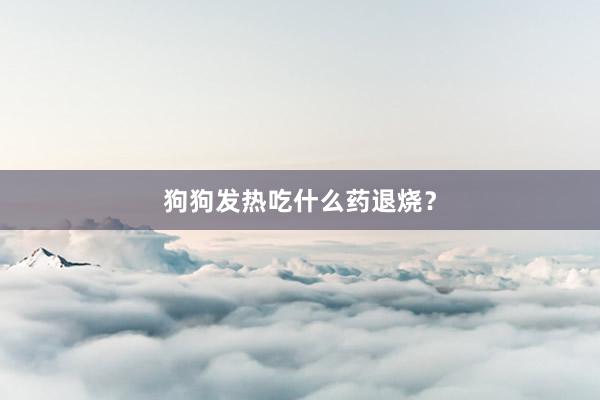 狗狗发热吃什么药退烧？