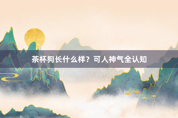 茶杯狗长什么样？可人神气全认知