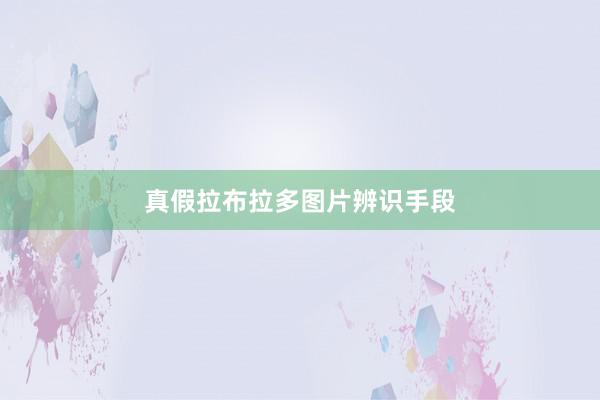 真假拉布拉多图片辨识手段